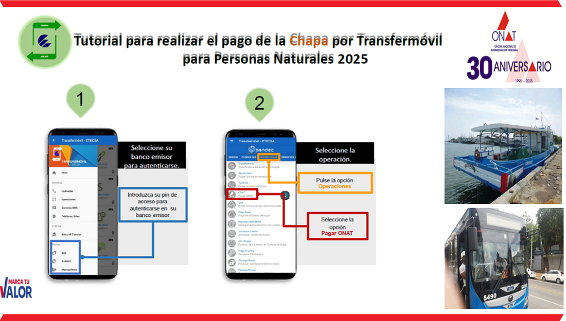 La cuenta regresiva comenzó. Vence el pago de los impuestos sobre el Transporte Terrestre y Embarcaciones.