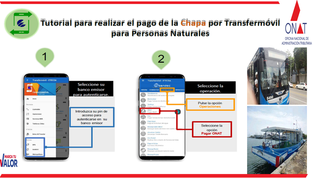 ¡Atención contribuyentes! Se acerca la fecha límite para pagar los impuestos sobre Transporte Terrestre y Embarcaciones