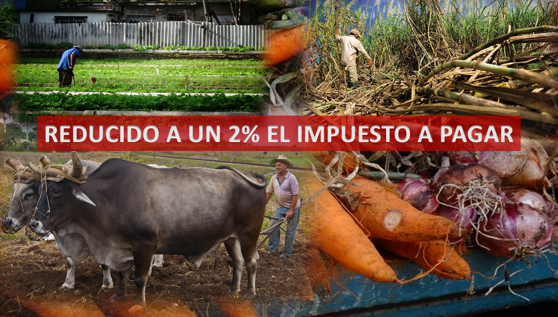 Nueva bonificación reduce a un 2% el impuesto sobre Ingresos Personales para sector agropecuario.
