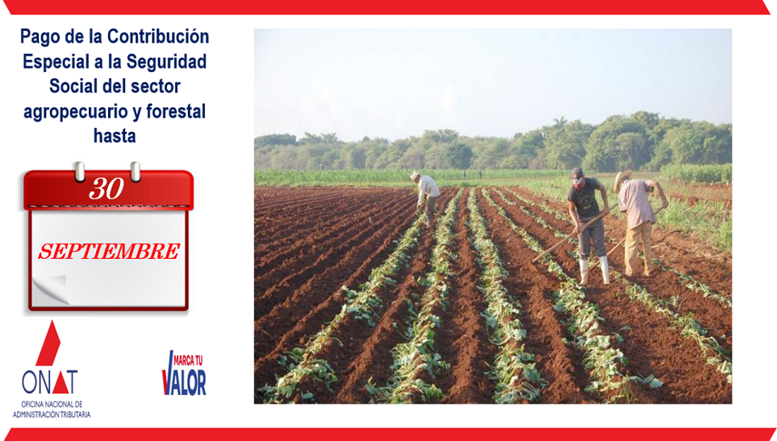 Vence en 3 días el término para el pago de la Contribución Especial a la Seguridad Social del sector agropecuario