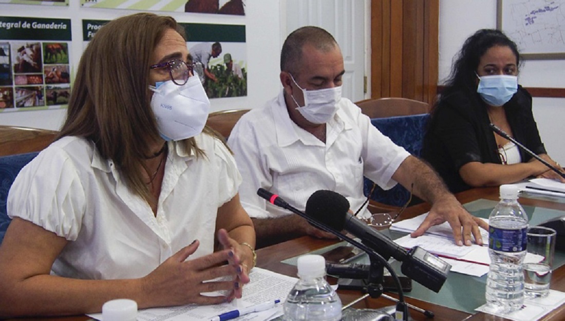 Nuevas medidas en Cuba para flexibilizar la comercialización agropecuaria